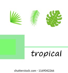 tropical summer tropical plant vector background
