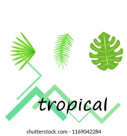 tropical summer tropical plant vector background