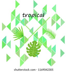 tropical summer tropical plant vector background