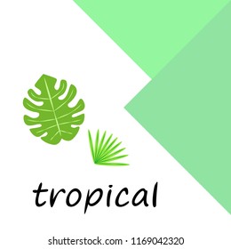 tropical summer tropical plant vector background