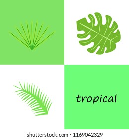tropical summer tropical plant vector background
