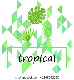 tropical summer tropical plant vector background