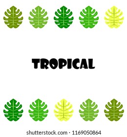 tropical summer tropical plant vector background