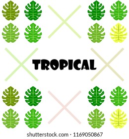 tropical summer tropical plant vector background