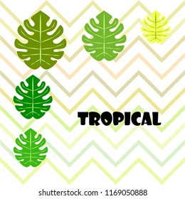 tropical summer tropical plant vector background