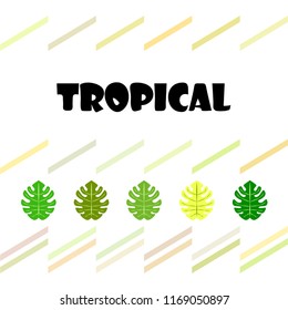 tropical summer tropical plant vector background