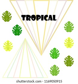 tropical summer tropical plant vector background