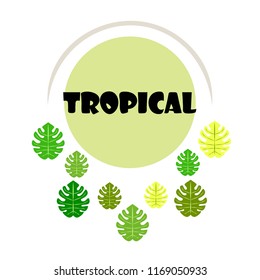 tropical summer tropical plant vector background