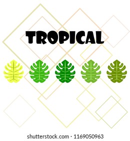 tropical summer tropical plant vector background