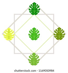 tropical summer tropical plant vector background