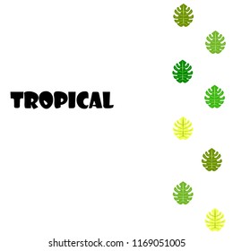 tropical summer tropical plant vector background