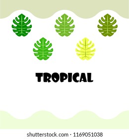 tropical summer tropical plant vector background