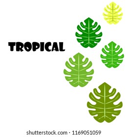tropical summer tropical plant vector background