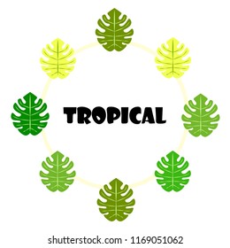 tropical summer tropical plant vector background