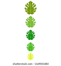 tropical summer tropical plant vector background
