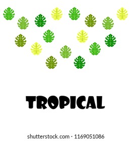 tropical summer tropical plant vector background