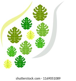 tropical summer tropical plant vector background