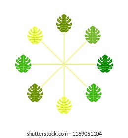 tropical summer tropical plant vector background