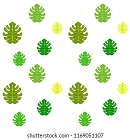tropical summer tropical plant vector background