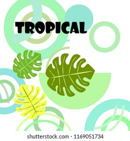 tropical summer tropical plant vector background