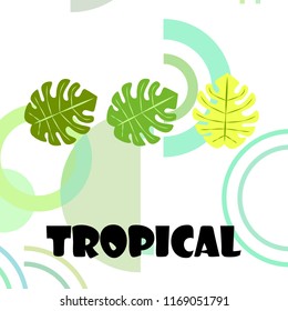 tropical summer tropical plant vector background