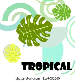 tropical summer tropical plant vector background