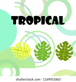 tropical summer tropical plant vector background