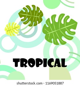 tropical summer tropical plant vector background