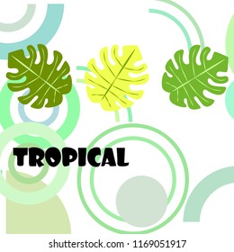 tropical summer tropical plant vector background