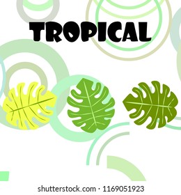 tropical summer tropical plant vector background