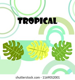 tropical summer tropical plant vector background