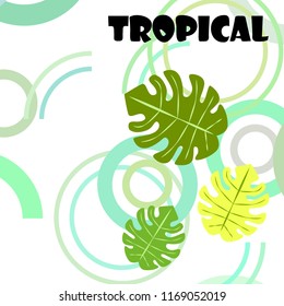 tropical summer tropical plant vector background
