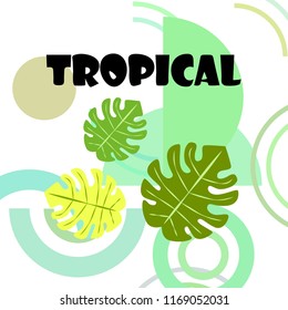 tropical summer tropical plant vector background