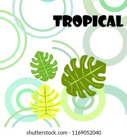 tropical summer tropical plant vector background