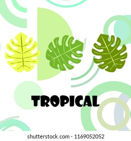 tropical summer tropical plant vector background