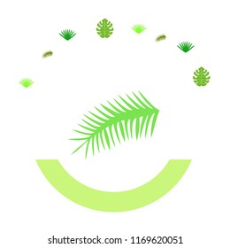 tropical summer tropical plant vector background