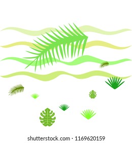 tropical summer tropical plant vector background