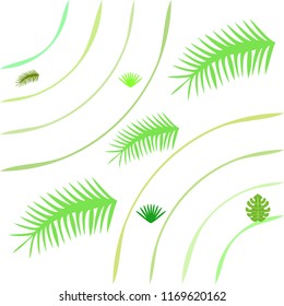 tropical summer tropical plant vector background