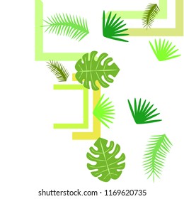 tropical summer tropical plant vector background