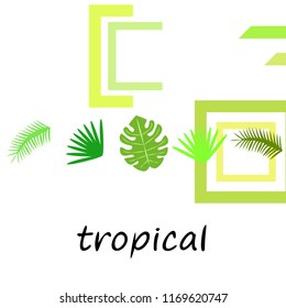 tropical summer tropical plant vector background