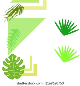 tropical summer tropical plant vector background