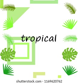tropical summer tropical plant vector background
