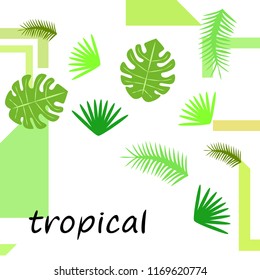 tropical summer tropical plant vector background