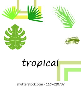 tropical summer tropical plant vector background