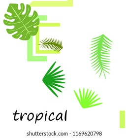 tropical summer tropical plant vector background