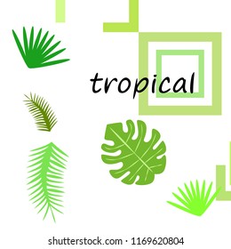 tropical summer tropical plant vector background