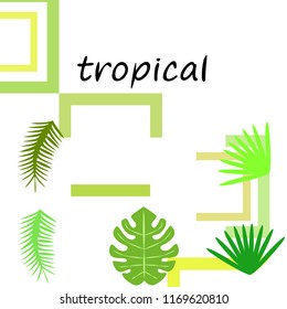 tropical summer tropical plant vector background