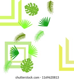 tropical summer tropical plant vector background