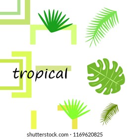 tropical summer tropical plant vector background