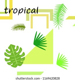 tropical summer tropical plant vector background